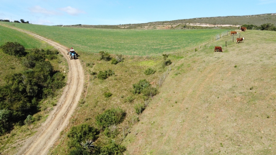 4 Bedroom Property for Sale in Mossel Bay Rural Western Cape